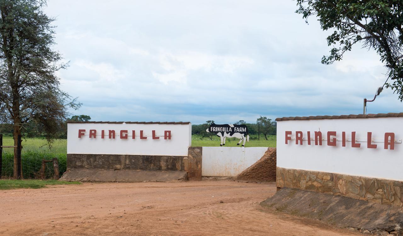 Fringilla Lodge Chisamba Exterior photo