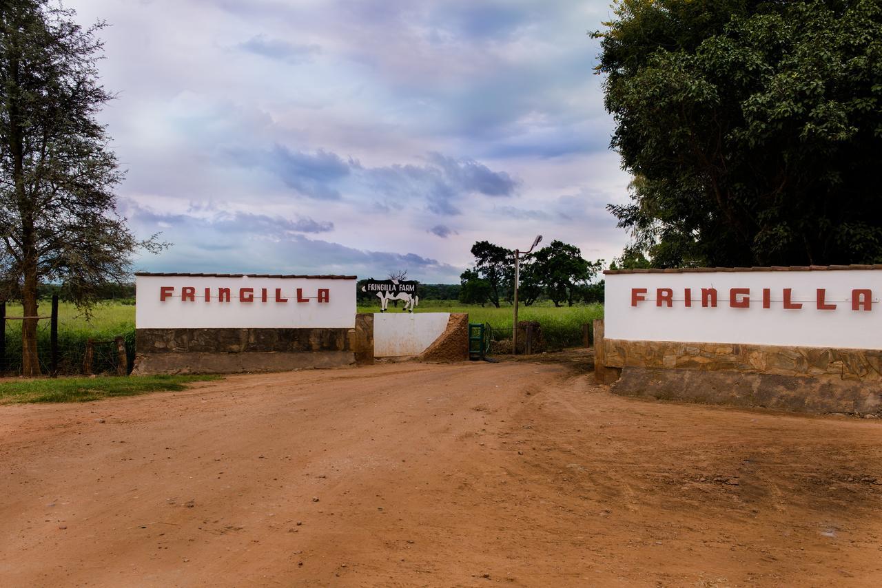 Fringilla Lodge Chisamba Exterior photo